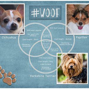January-13---Venn-Diagram---#Woof