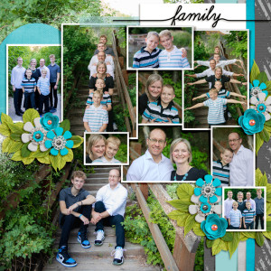 MOC D12 Family