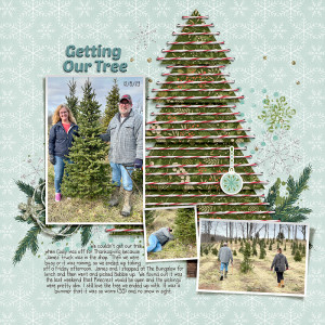 Day 17 - Getting Our Tree