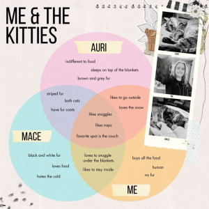 January 13: Venn Diagram