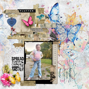 Flutter Fly - Jan 15