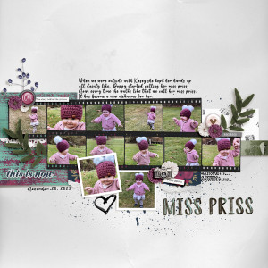 11-20-2023 - Kasey - Miss-Priss - MOC12-2