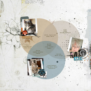 MOC12-13-Venn-Me2Cats-copy