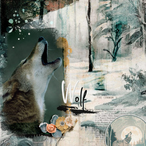 Wolf