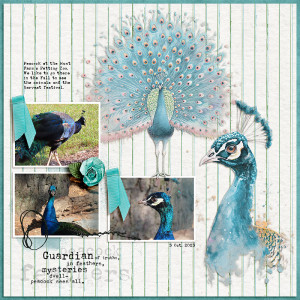 Peacock