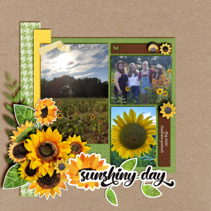 Sunflowers