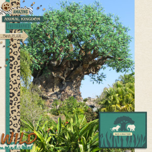 MOC 12- January 21-Kit Connection