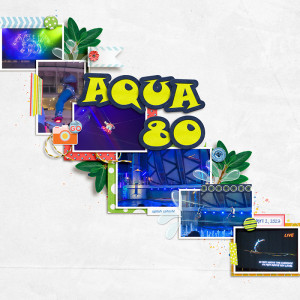 2023 04 Aqua 80