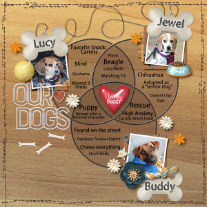 1-13-24 Venn Diagram - Our Dogs