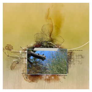 Jan-24---Blurred-Forground