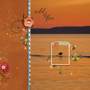 January 22 - Large Photo with Pop Out