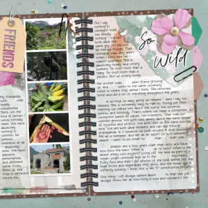 January 14: Friendships