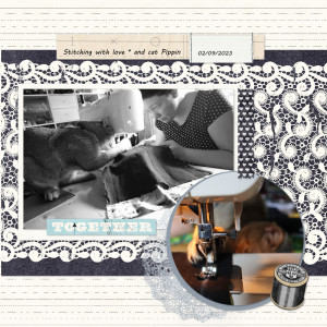 230902_Pip Stitching