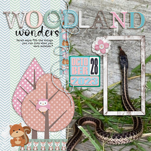 Woodland Wonders