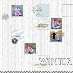 Winter Memories