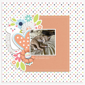 LOD_Becca Bonneville_Cats on bed