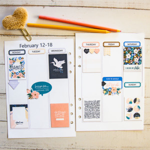 February 12 Planner (hybrid)