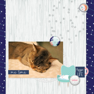 240214_Pip Sleep