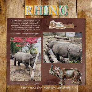 Rhino