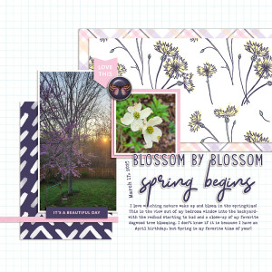 Froggy Friday Feb 23- Spring Begins