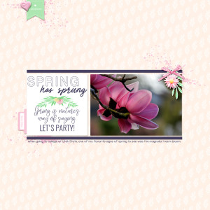 Spring-has-sprung