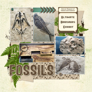 Fossils
