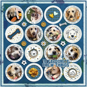 "10 Favourite Chew Things"