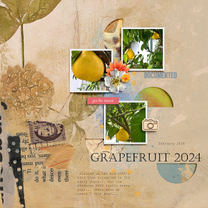 2024-Grapefruit