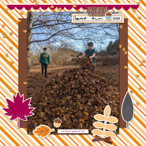 Leaf Fun