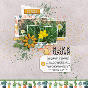 SOSN March 6- Home Grown
