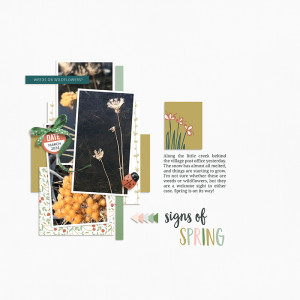 Signs of Spring