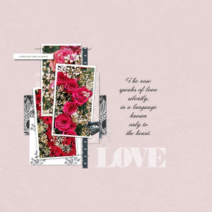 The Rose
