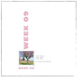 week 09