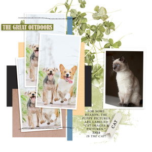THE-GREAT-OUTDOORS