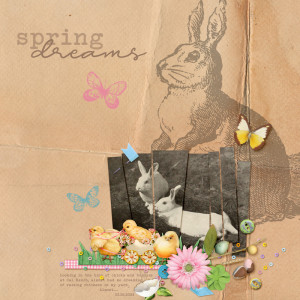Spring-dreams
