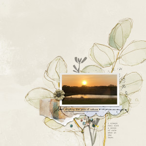 The Pace of Nature
