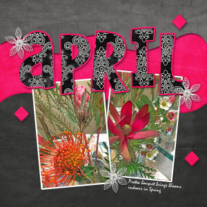 KimJensen_AprilChallenge_janisn