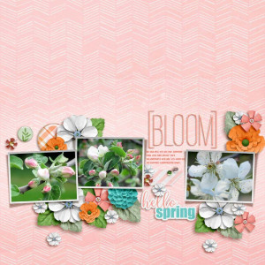 Bloom