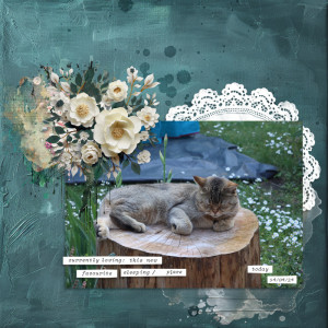 240414_sleep Pip