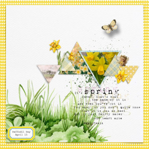 Daffodil Day'24