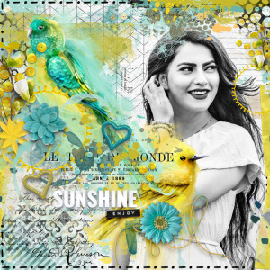 Sunshine