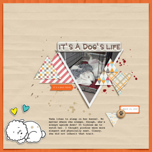 Dog's-life