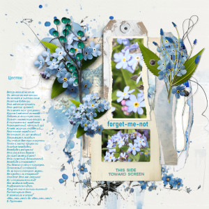 240419_flowers Poem