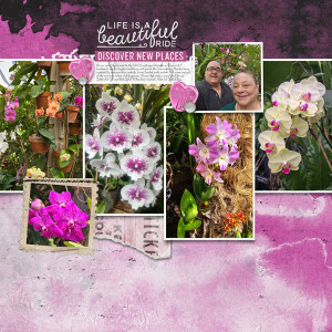National_Orchid_Day