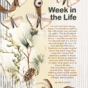 Week in the Life (The Reason Why)
