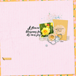 A-flower-blossoms