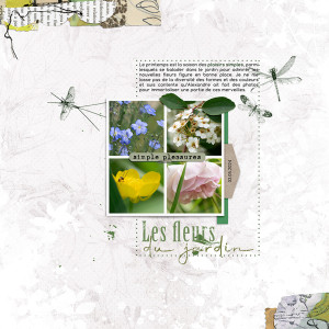 20240503-Les Fleurs Du Jardin