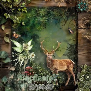 Enchanted forest dreams