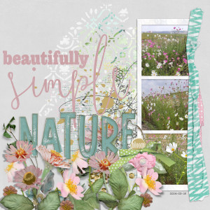 2024-03-18_Nature