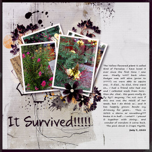 2023-It-survived--Monday-Slow-Scrap